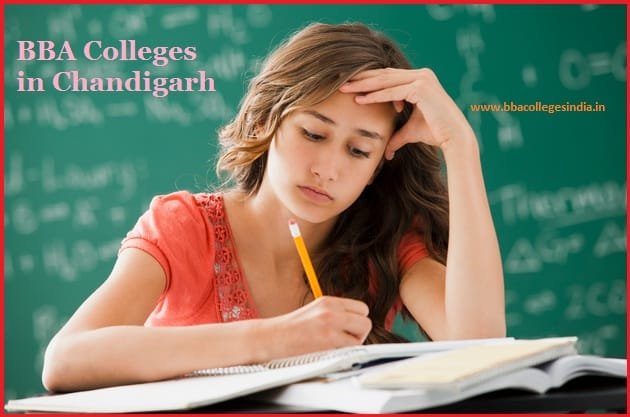 BBA Colleges in Chandigarh