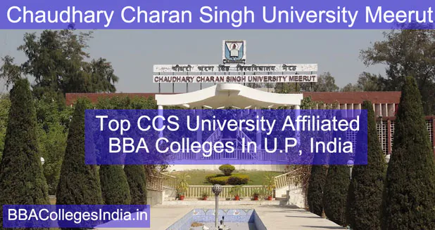 Top CCS University Affiliated BBA Colleges In U.P, India