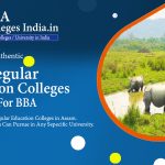 Regular BBA college in Assam