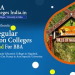 Regular-BBA-college-in-Nagaland