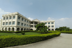 Noida International University